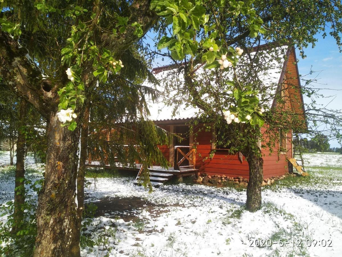 Ekostolarnia Villa Rutka-Tartak Kültér fotó